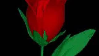 anjona by monir khan