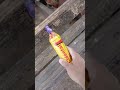 Tratando dos porcos 🐖