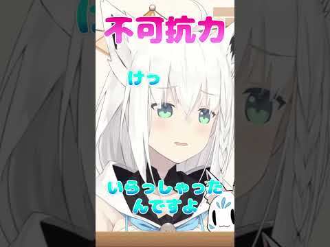 フブちゃんも "けしからんイラスト" みてるってコト  #白上フブキ #shorts