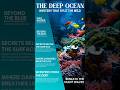 5 OCEAN MYSTERIES Solved by Experts