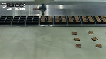 Bacci Automation Упаковування шоколаду