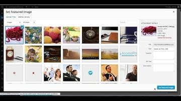 Best Premium Theme AccessPress Ray Pro - How to Add Portfolio and Configure its Settings | Tutorial