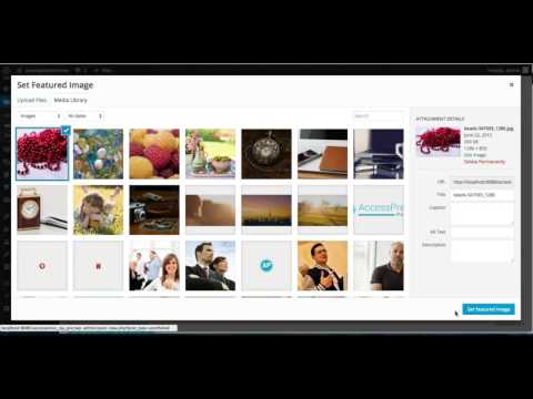 Best Premium Theme AccessPress Ray Pro - How to Add Portfolio and Configure its Settings | Tutorial