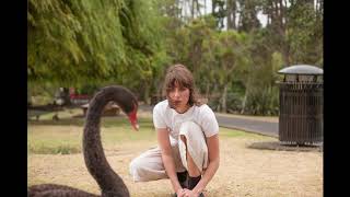 Video thumbnail of "Aldous Harding Party"