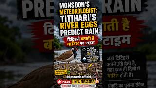 Monsoon’s Meteorologist: Titihari’s River Eggs Predict Rain टिटिहरी बताती है बारिश का टाइम#bpsc#upsc