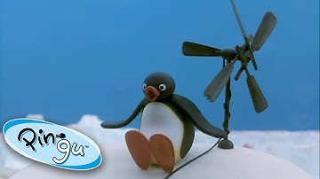 Pingu And Pinga Help Around The House! @Pingu ❄️ Compilation