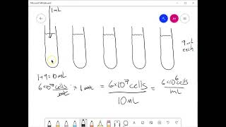 LAB: the plate count technique