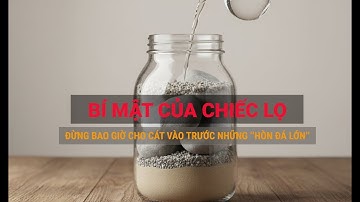 Bài Học Từ Chiếc Lọ Và Những Hòn Đá | Sống Đáng Một Đời