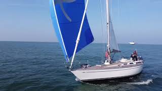 October 2021 - A starfish and sunshine kind of day on Celeste  Nautor Swan 38. #nautorswan #swan