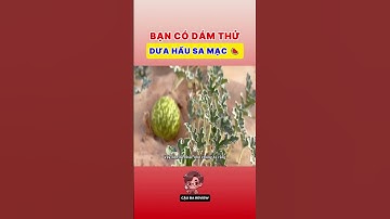 Bạn có dám thử Dưa Hấu sa mạc này không? 🍉| #facts #short #kienthucthuvi