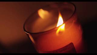 Casey Deidrick Net Worth