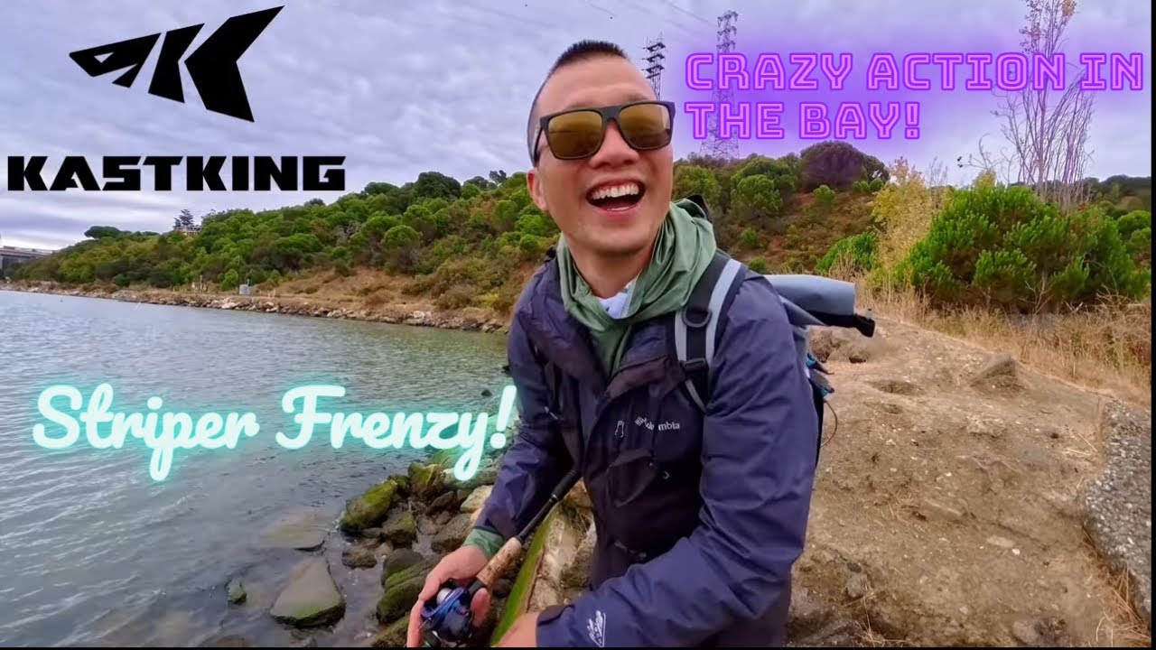 Striper Fall Run in the Bay Area! Nonstop Shoreline Hits 🎣