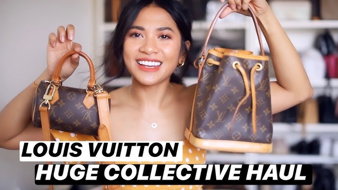 Louis Vuitton Noe Purse Review + What Fits + 5 Month Wear Update