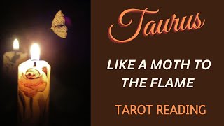 TAURUS ~ LIKE A MOTH TO THE FLAME ~ #TAROT #READING