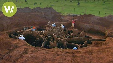 Secret Megalopolis of Ants Uncovered - Truly a Wonder of the World !