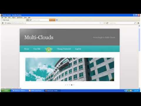 Cloud Computing Security: From Single to Multi-Clouds