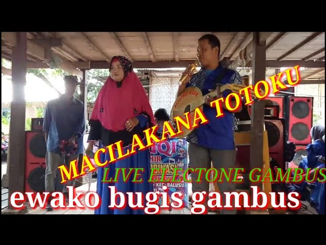 gambus bugis macilaka bugis electone lisa ridwan channel65 class=