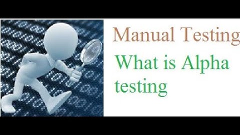 29 What is Alpha testing