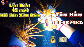 Đêm Biển Đầu Tiên Năm 2022 | Mùa Vụ Mực Nang | 2 hours diving in the ocean