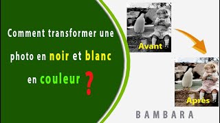 Donnez de la couleur à vos vieilles photos noir et blanc (gratuitement !)/BAMBARA screenshot 4