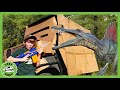 Where are the Dinos Hiding?! And HUGE Box Fort! | T-Rex Ranch Dinosaur Videos for Kids