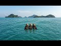 Cute Sea Otters Holding Hands in Crystal Clear Ocean 🦦💙 | Relaxing Nature Scene