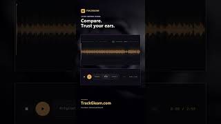 Free Audio Mastering: WAV   MP3, No Signup | TrackGleam