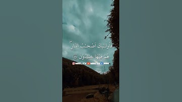 ماهر المعيقلي - سورة البقرة ( برواية حفص عن عاصم ) الأية 80 - 82