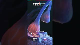 uroengenharia e Biomateriais Eletroativos em Interfaces Neurais