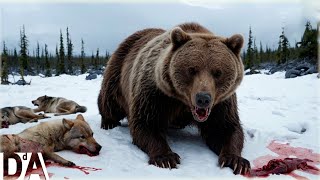 ALASKA SALVAJE | El Reino de los Depredadores del Hielo #vidasalvaje | DocuAnimales