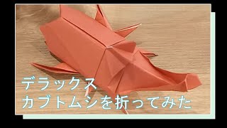 改【男の子のおりがみ】DXかぶとむし　別アングルバージョン　p28~33