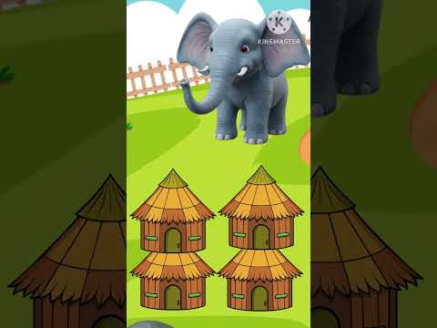 Focus Test For Genius Focus Test #elephant #focustest #shorts #viralshorts