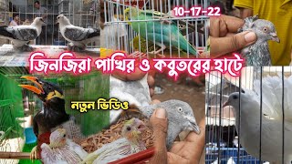 ২০০ টাকায় কবুতর জোড়া জিনজিরা পাখির ও কবুতরের হাট Jinjira kobutor pakhir hat 2022 kobutor hat kobutor
