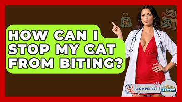 How Can I Stop My Cat From Biting? - Ask A Pet Vet