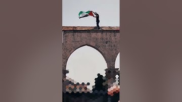 وَأُخْرَىٰ تُحِبُّونَهَا ۖ نَصْرٌ مِّنَ اللَّهِ وَفَتْحٌ قَرِيبٌ ۗ ||سورة الصف||احمد خضر
