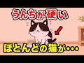 猫の便秘を解消する食事法を獣医師が解説します【猫の食事がわかる本㊺ P163】