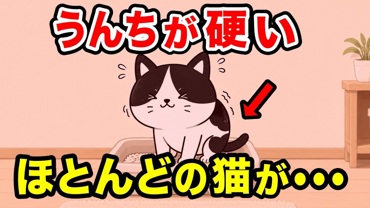 猫の便秘を解消する食事法を獣医師が解説します【猫の食事がわかる本㊺ P163】