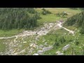 Grizzly Bear vs Hikers in Glacier National Park