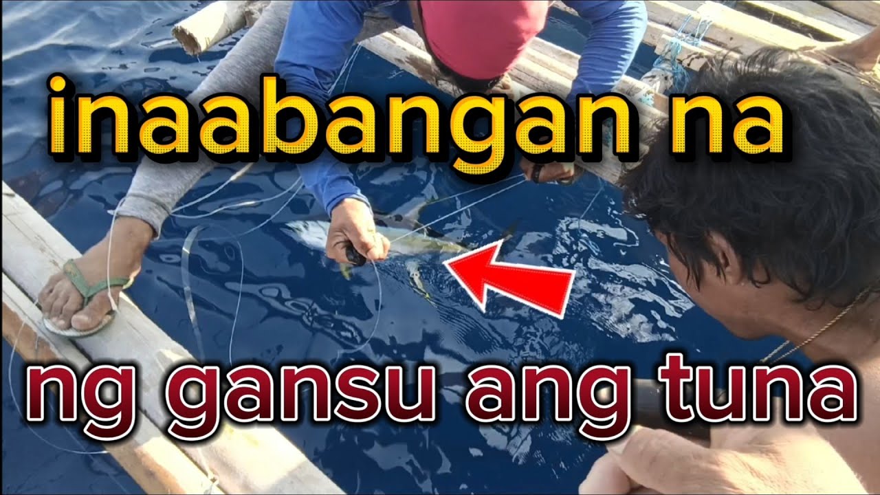 Kabado at medyo excited Ang lahat sa pasibad kung tuna