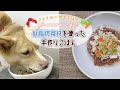 【簡単手作り犬ご飯】膵炎の愛犬に食べて欲しい低脂肪食材を使った手作りごはん【帝塚山ハウンドカム】