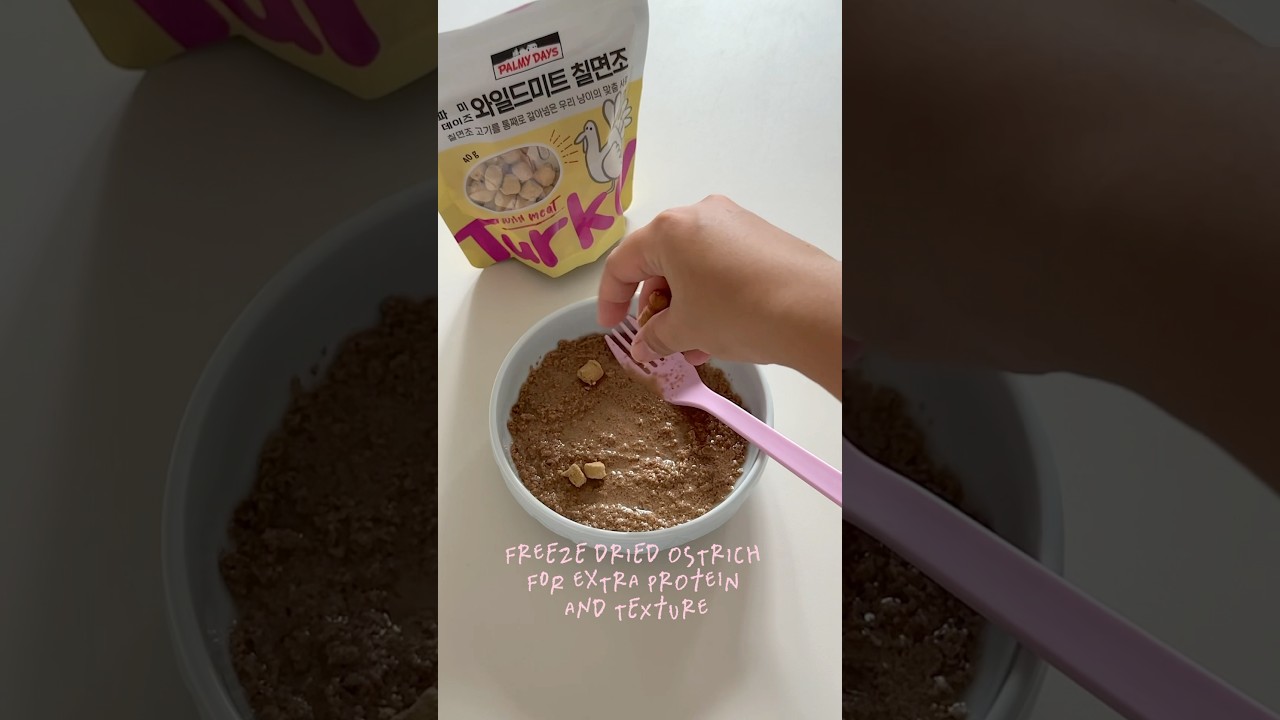 feed my cats with me 