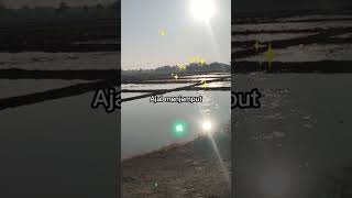 Download Lagu Hanya Allah yang Maha tahu segalanya MP3