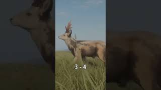 Spawn the Great One Roe Deer EASY!! | theHunter Call of the Wild