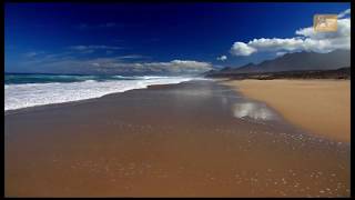 Spirit of Fuerteventura