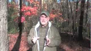 Earth Straw Instructional Video