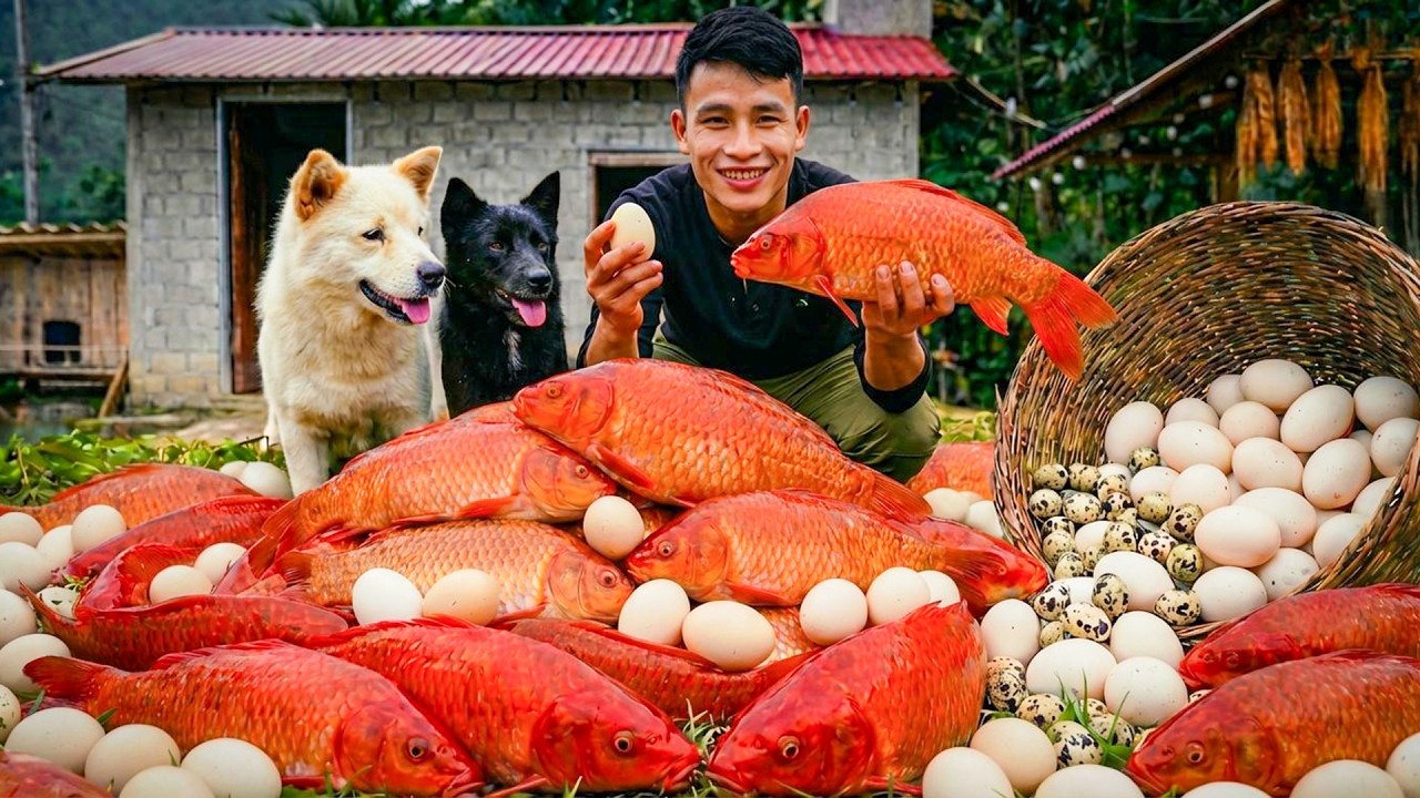 Catching Golden Carp & Harvesting Eggs then Goes to Market to Sell | Young CEO with Tom & Lu