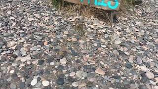 Rocks on Egypt Beach