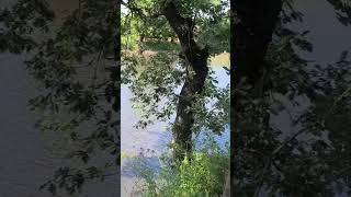 il lago di Fedula distante 1934 km da Loch Ness.