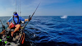 I Went 2 Miles Offshore in My Kayak Alone… Then This Happened”