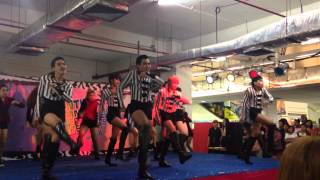 IMG 4490